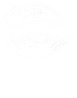 CamaleonArtWall